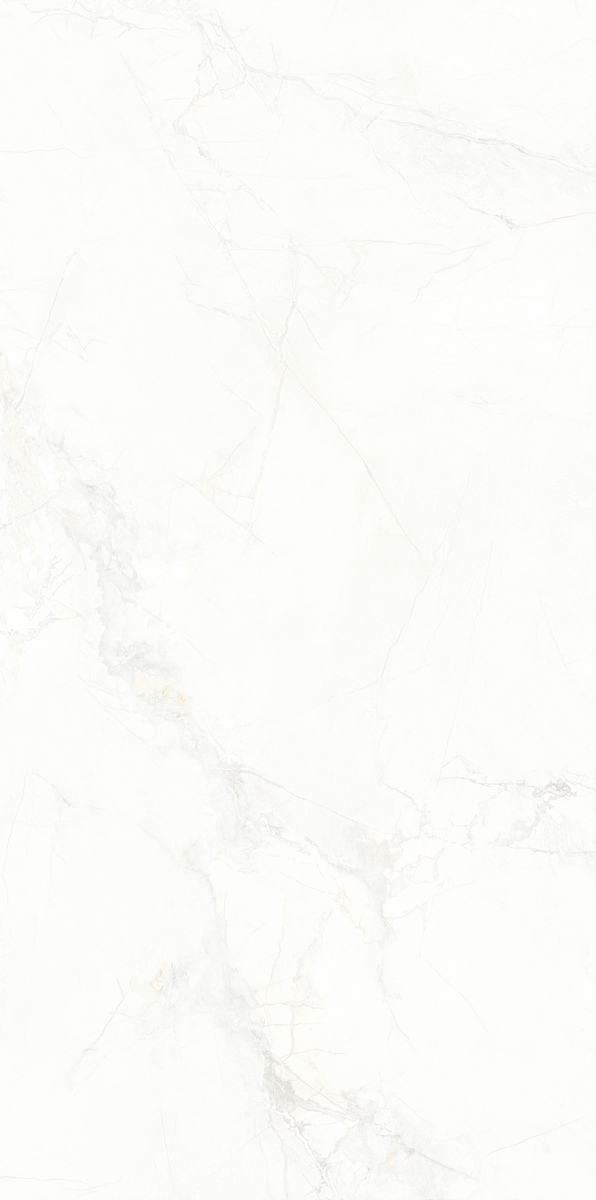 寒江雪 QZC918E228F產(chǎn)品圖