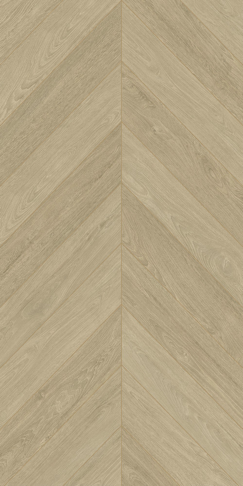 落葉喬木 FMSJ126205B產品圖