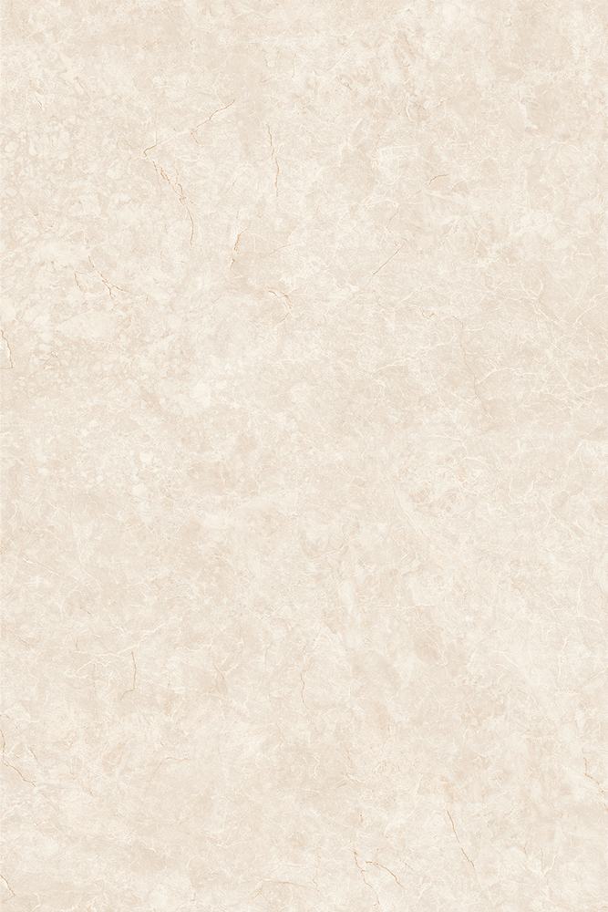 頂級(jí)白玉蘭 Q1218GDR271A產(chǎn)品圖