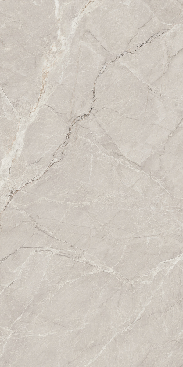 銀鼎灰 DLL918123T產(chǎn)品圖