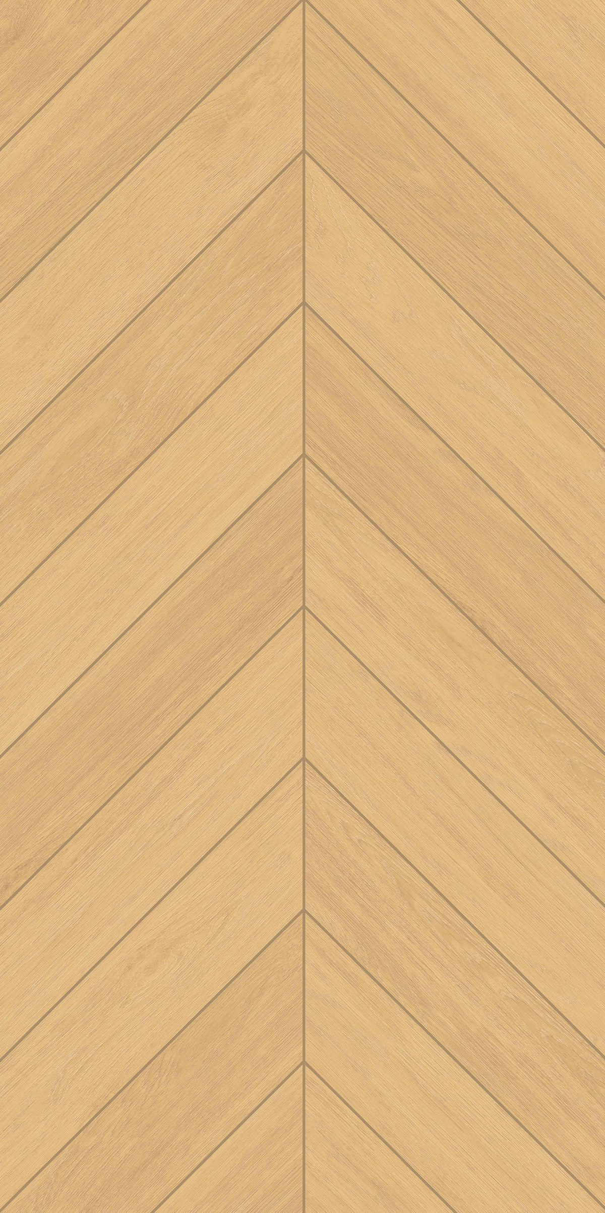 流金櫸木 FMJR126206C 產品圖