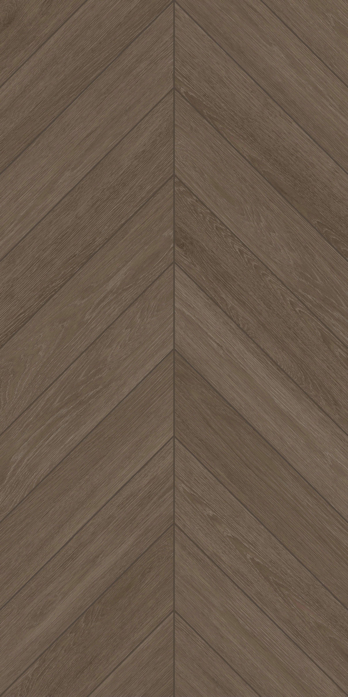 墨染胡桃 FMJR126208C 產品圖