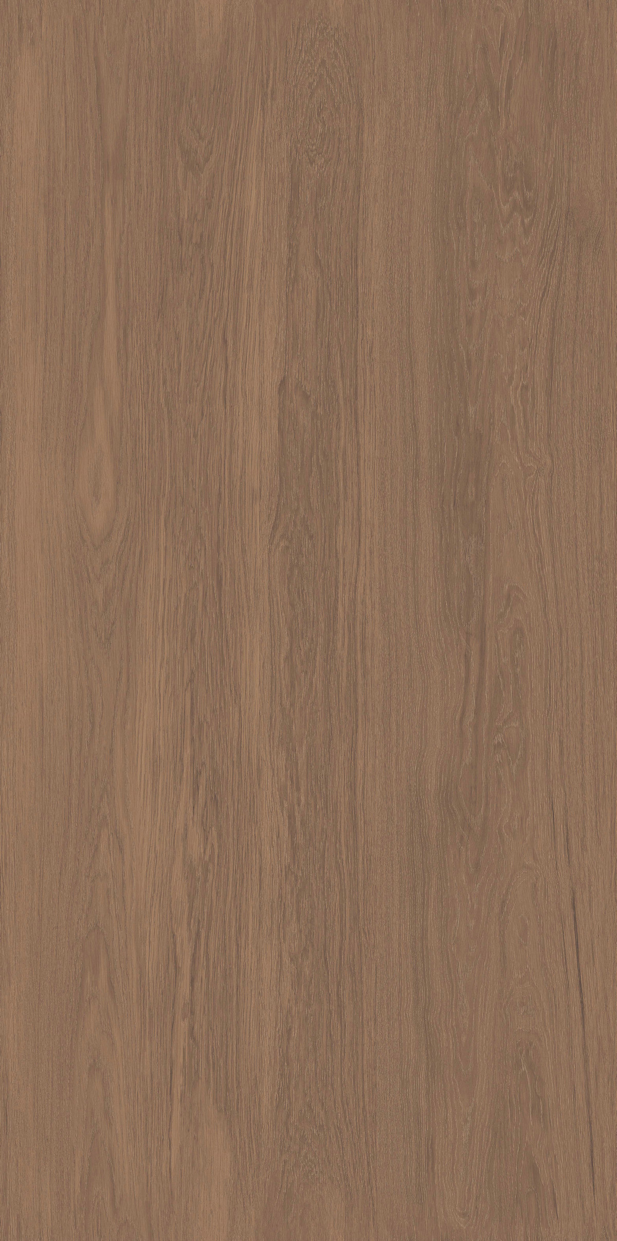 雨林橡木 FMJR126213C 產(chǎn)品圖