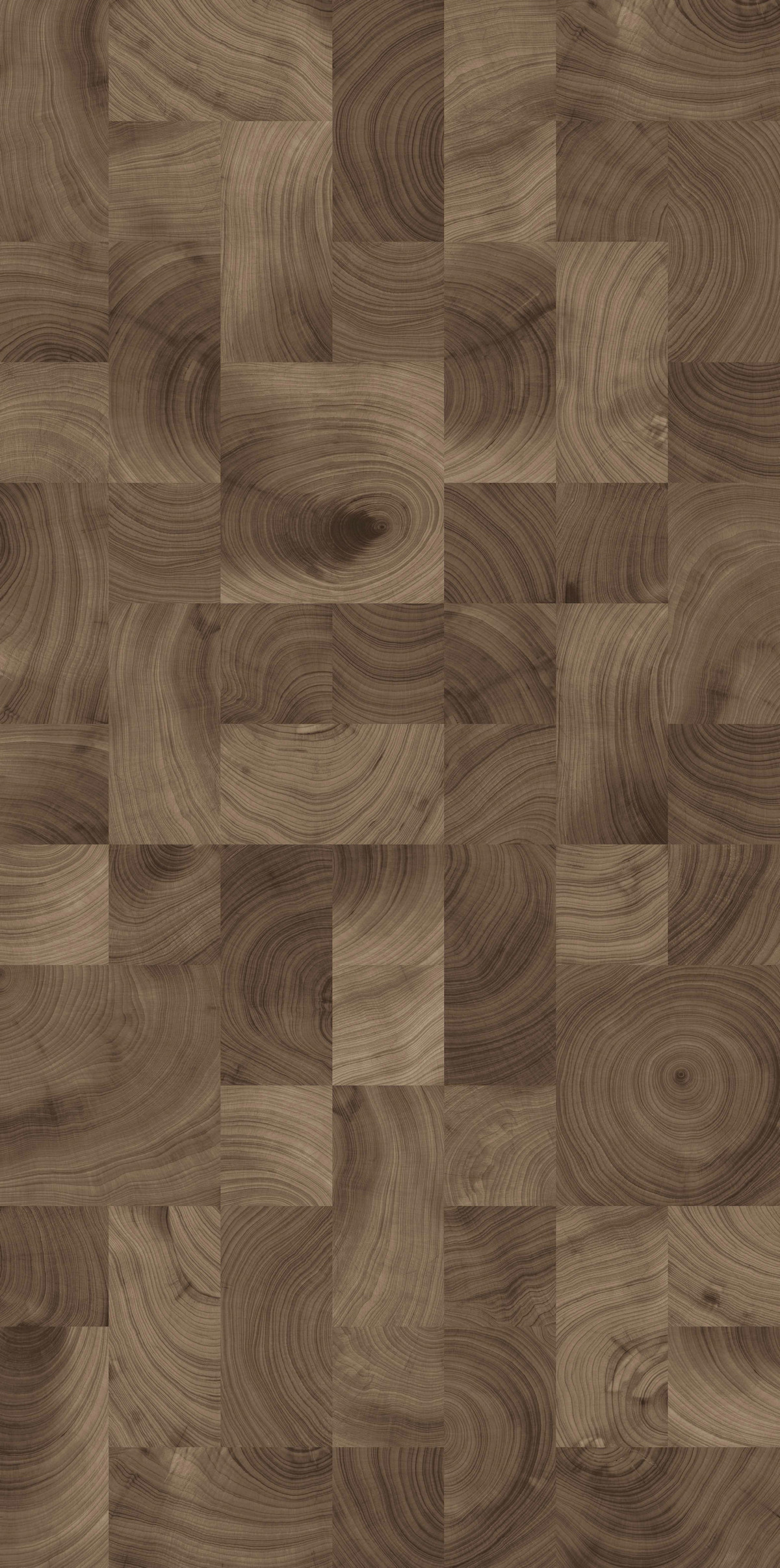 年輪印記 FMJR126217D 產(chǎn)品圖