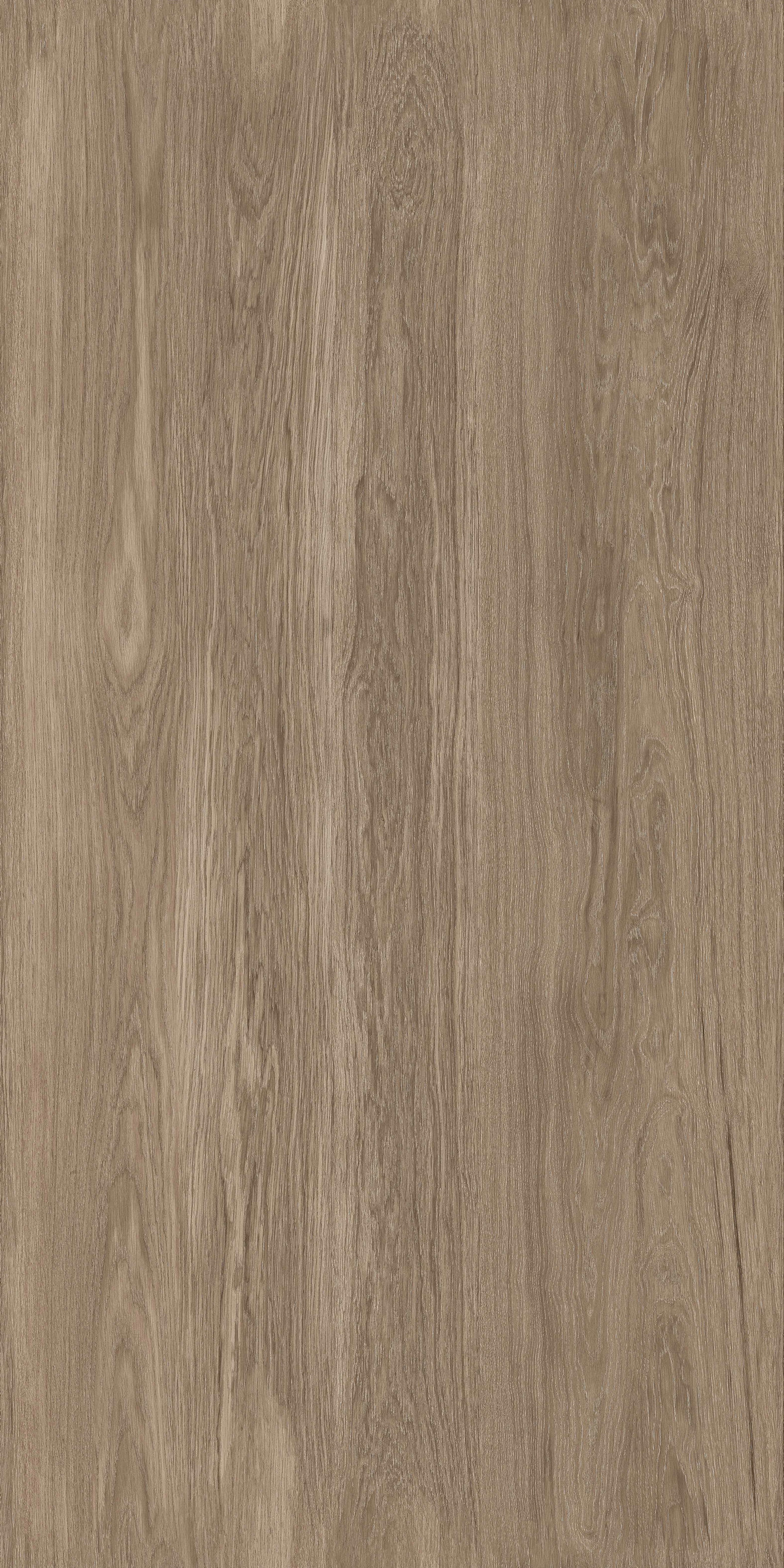 晨曦樺木 FMJR126211C 產(chǎn)品圖