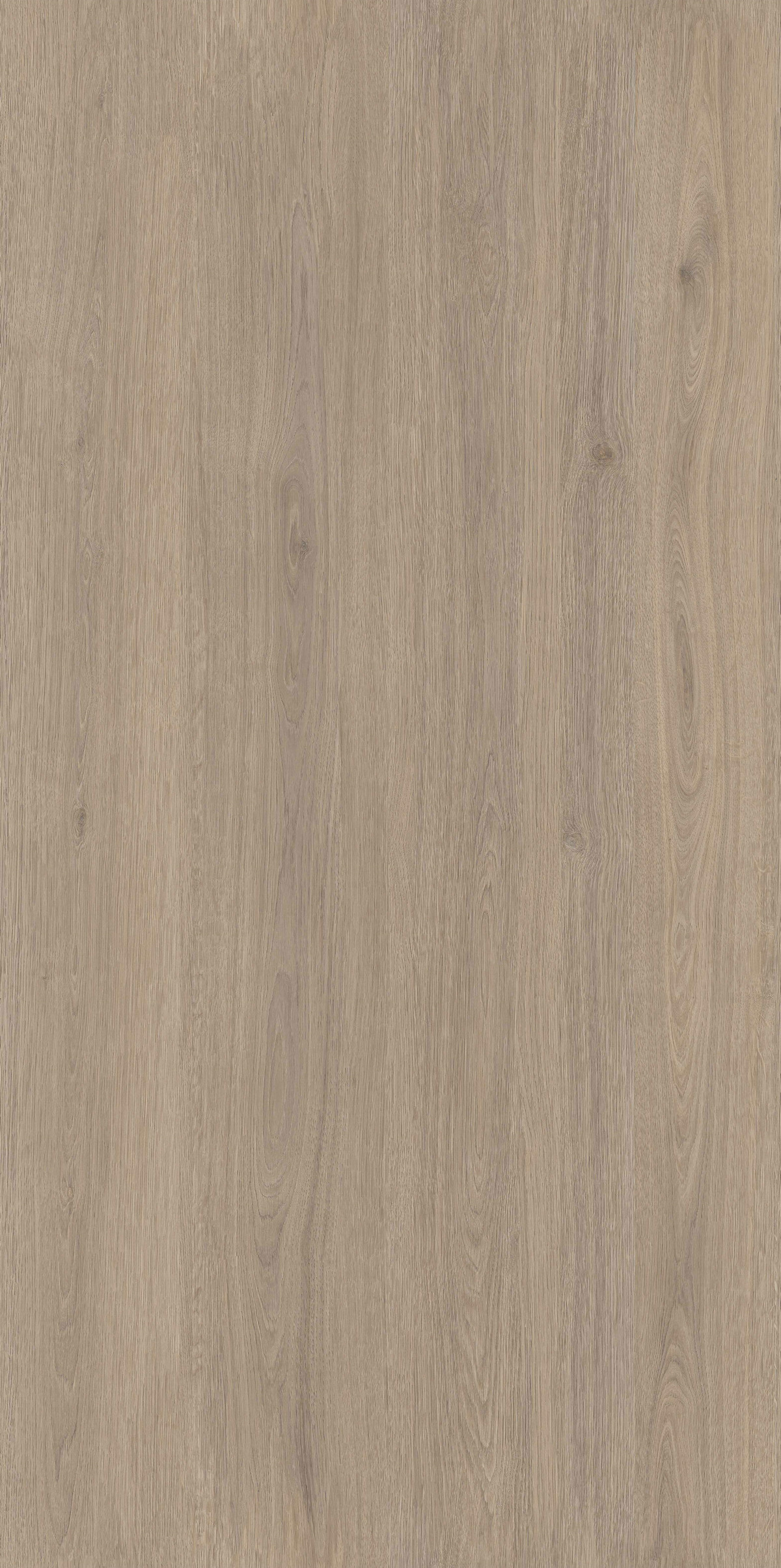 金絲柚木 FMJR715239B 產品圖