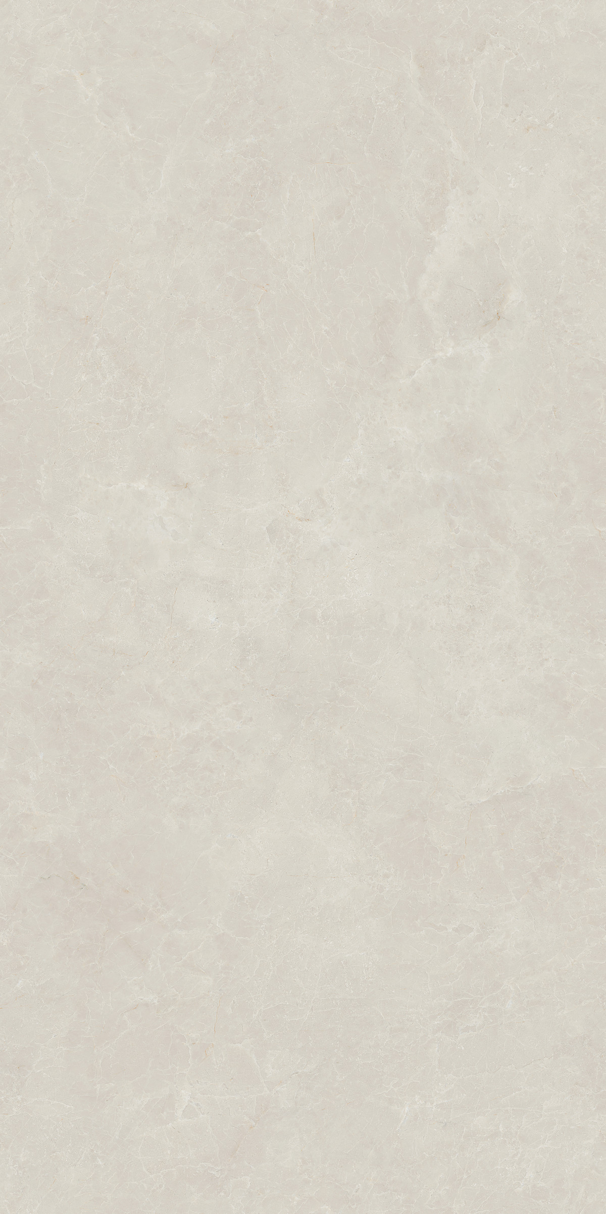 新白玉蘭 DLL715796B 產品圖