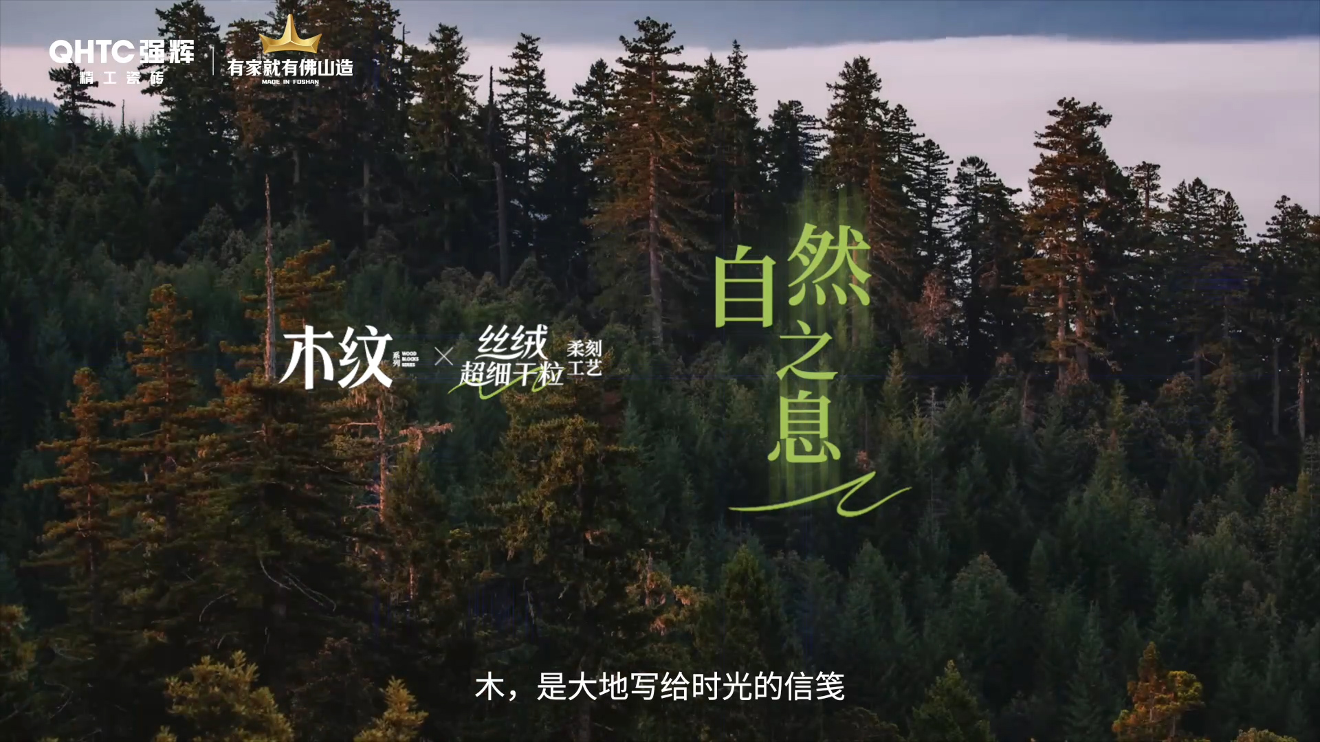 強(qiáng)輝木紋系列宣傳片