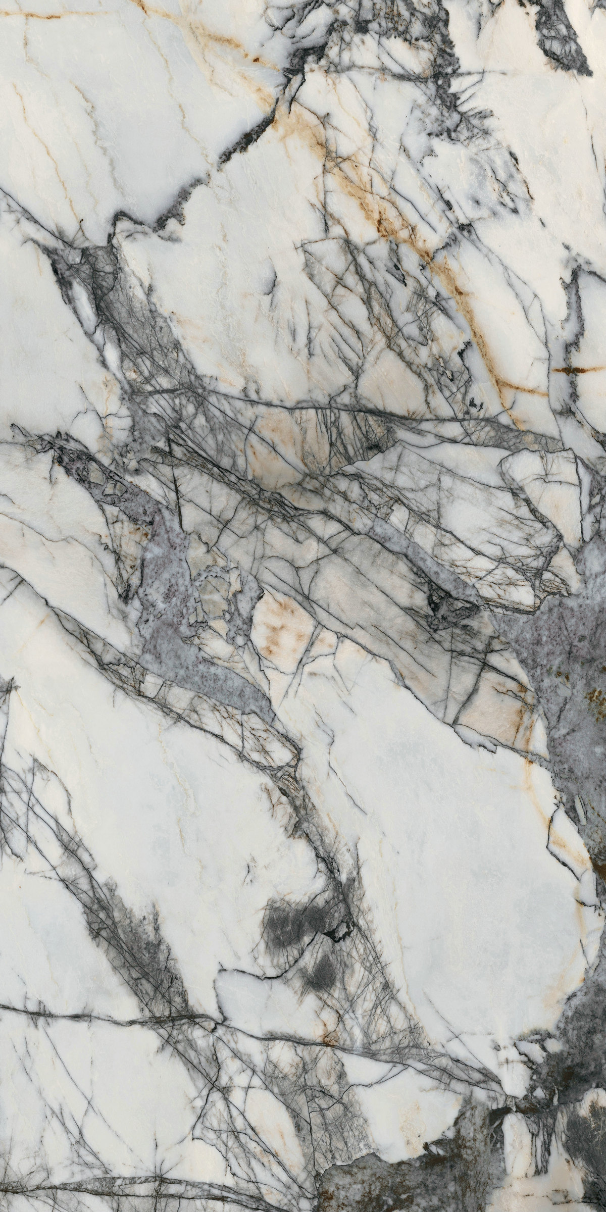 天堂鳥 QHA163212L309-A/B  產(chǎn)品圖