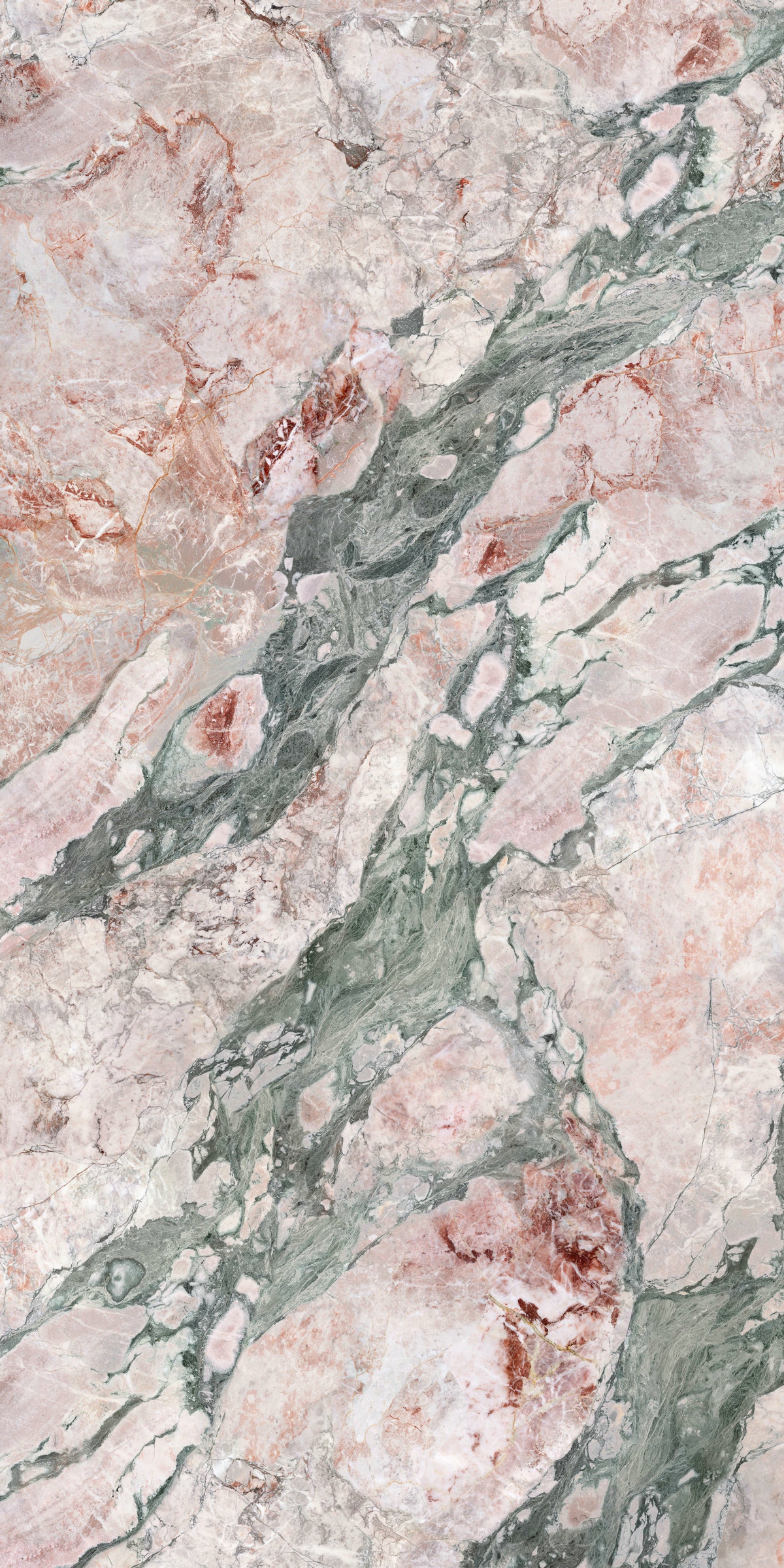 四季粉 QHD163212TS178-A/B產(chǎn)品圖