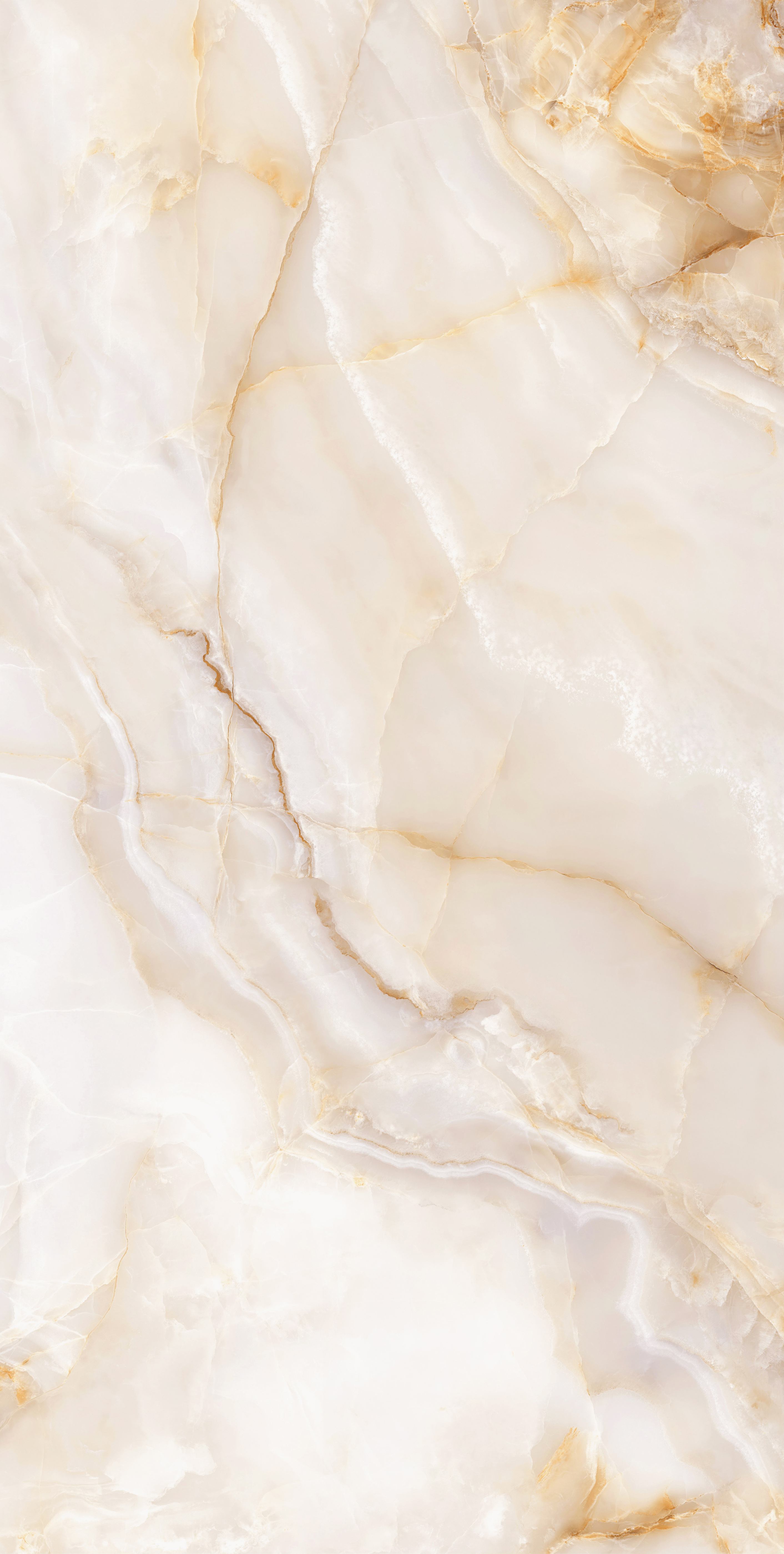 碧波玉影 DLL918008ZT 產品圖