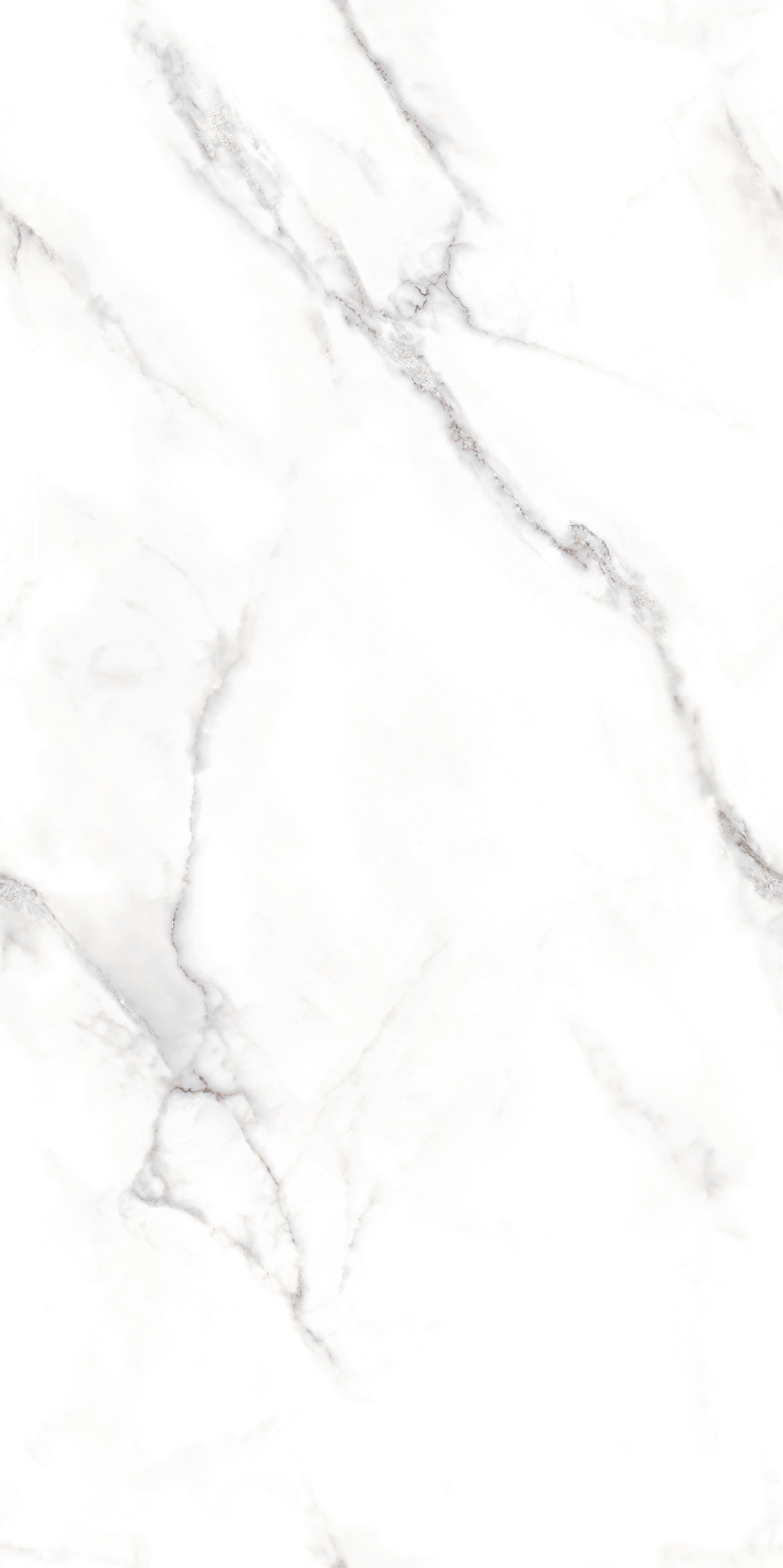 賽亞白 DLL918010ZT  產品圖