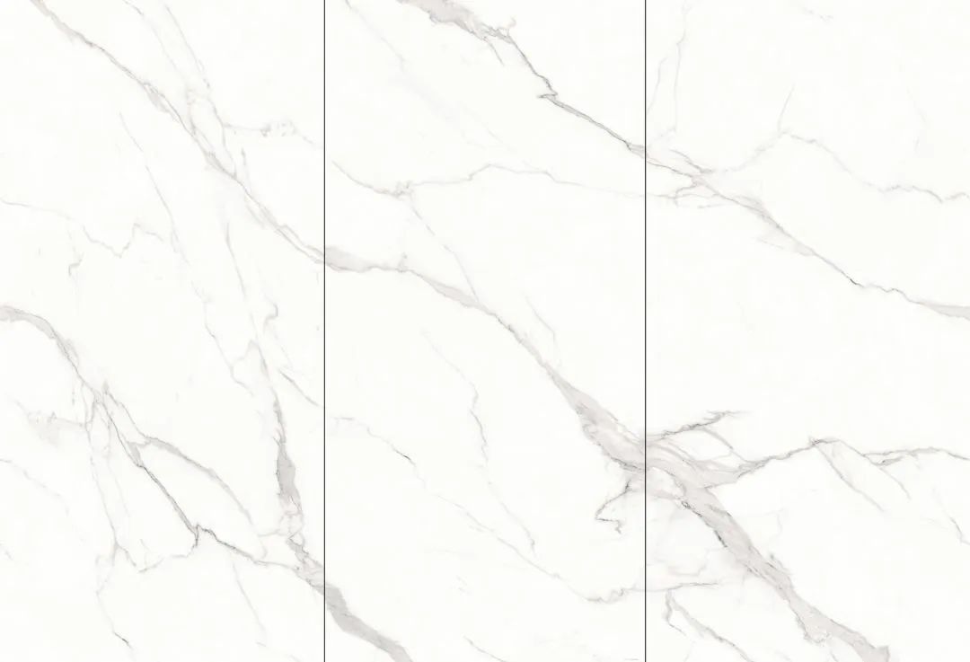 【新品】奢華定制，1600x3200mm成就大宅風(fēng)范！(圖24)