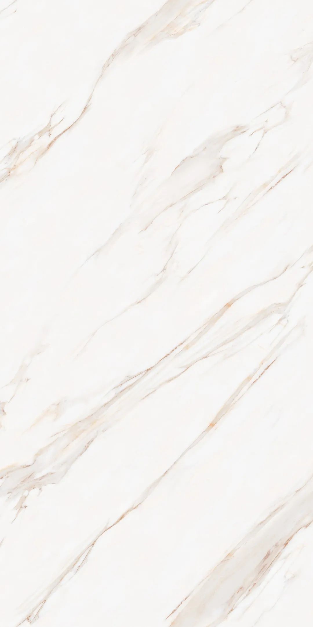 【新品】奢華定制，1600x3200mm成就大宅風(fēng)范！(圖28)