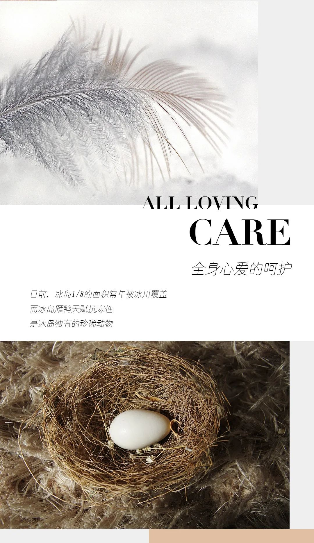 尋跡冰島,從‘絨’中發現自在巖感!(圖2) 尋跡冰島,從‘絨’中發現自在巖感!(圖2)