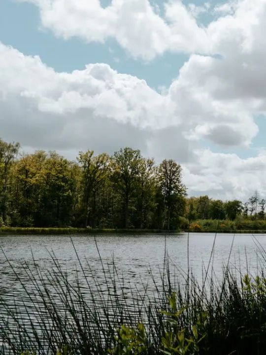 素色時光系列 | 一抹素色,訴說著雅韻時光(圖21) 素色時光系列 | 一抹素色,訴說著雅韻時光(圖21)