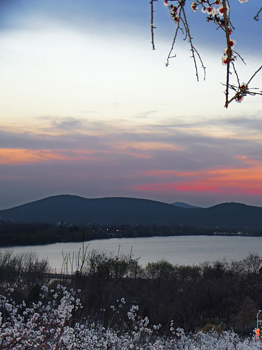 終端風(fēng)采 | 強(qiáng)輝沛縣旗艦店,營(yíng)造舒適美學(xué)生活(圖3) 圖片