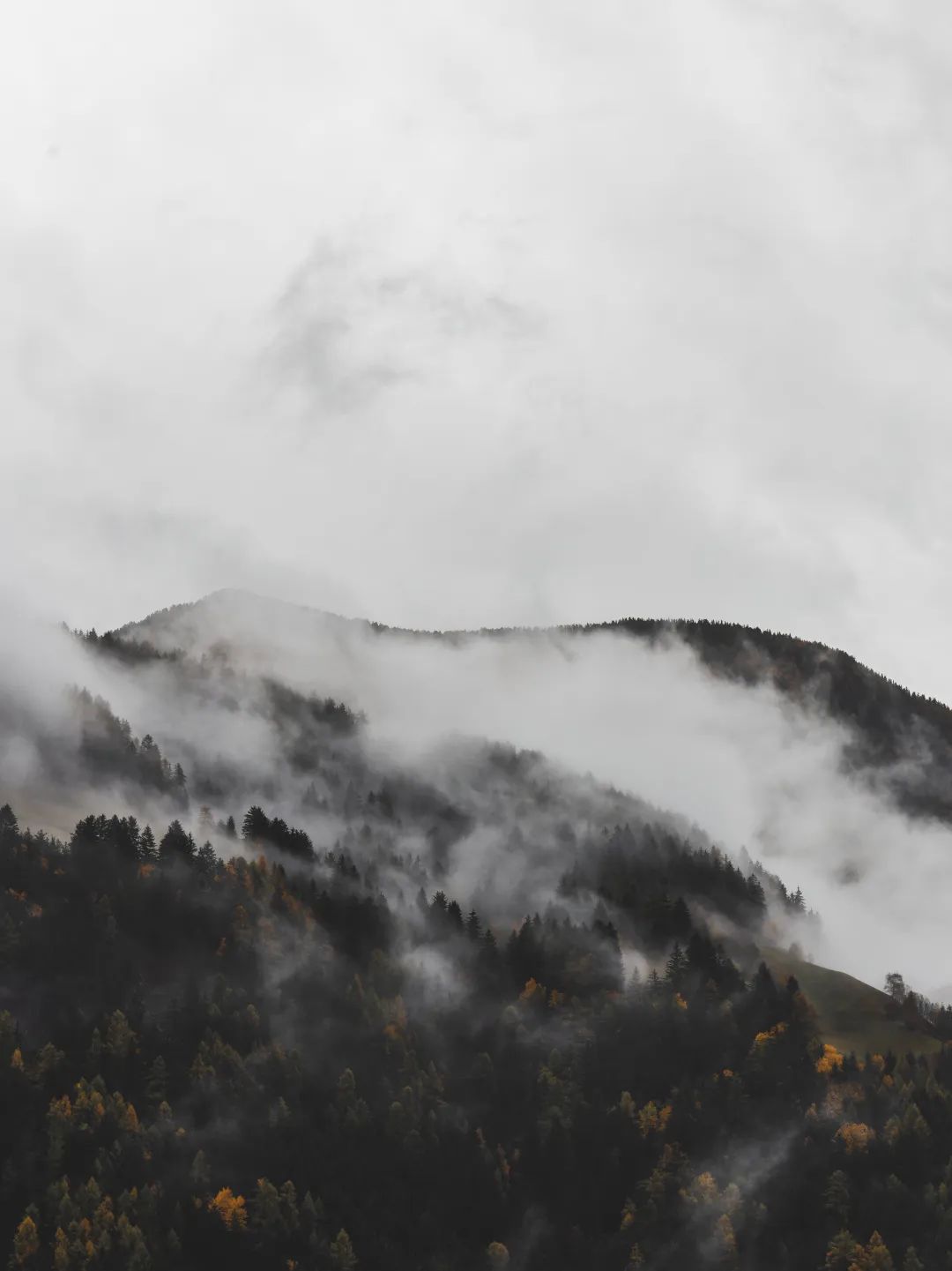 新品上市 | 質感?原生石系列,探尋自然之境(圖6) 新品上市 | 質感?原生石系列,探尋自然之境(圖6)