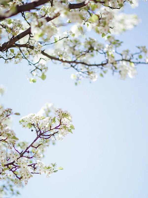 新品上市 | 質感?原生石系列,探尋自然之境(圖31) 新品上市 | 質感?原生石系列,探尋自然之境(圖31)