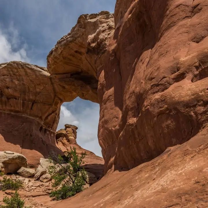質感?原生石系列 | 1200×1800mm密縫連紋，開創無限世界(圖13)