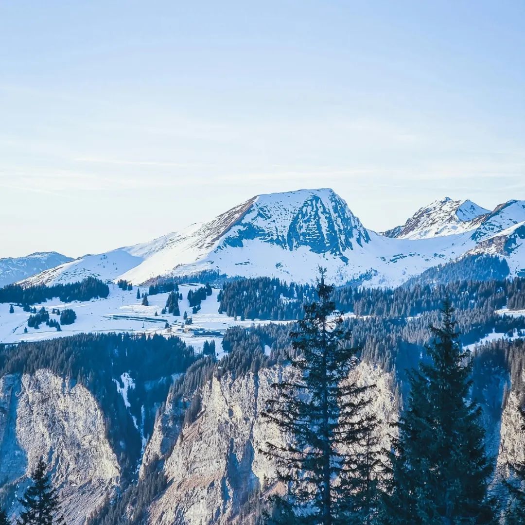 強(qiáng)輝精品石2.0 | 以品質(zhì)降溫,夏日煥新顏(圖2) 強(qiáng)輝精品石2.0 | 以品質(zhì)降溫,夏日煥新顏(圖2)