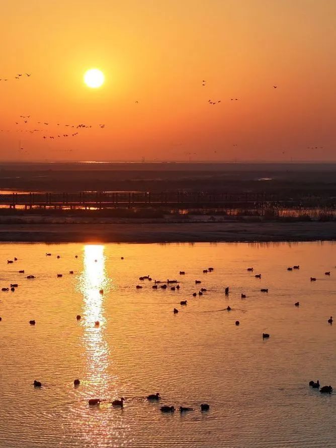 終端風采 | 強輝東營旗艦店，探尋質感空間的詩意生活(圖1)