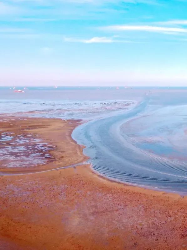 終端風采 | 強輝東營旗艦店，探尋質感空間的詩意生活(圖2)