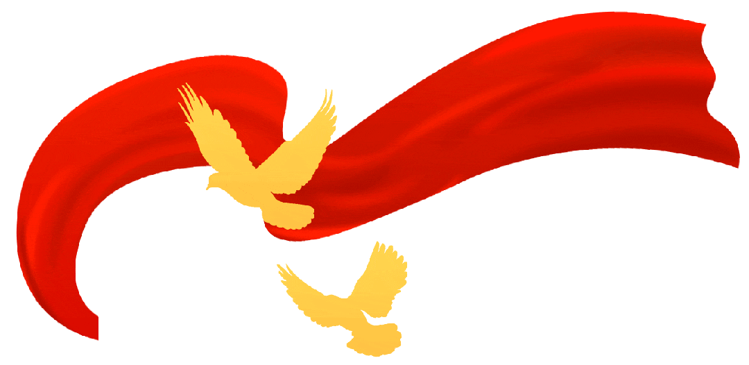 聚勢共鑒?標桿領航 | 強輝2025區域培訓峰會暨美學賦能行動晉江站圓滿落幕(圖2)