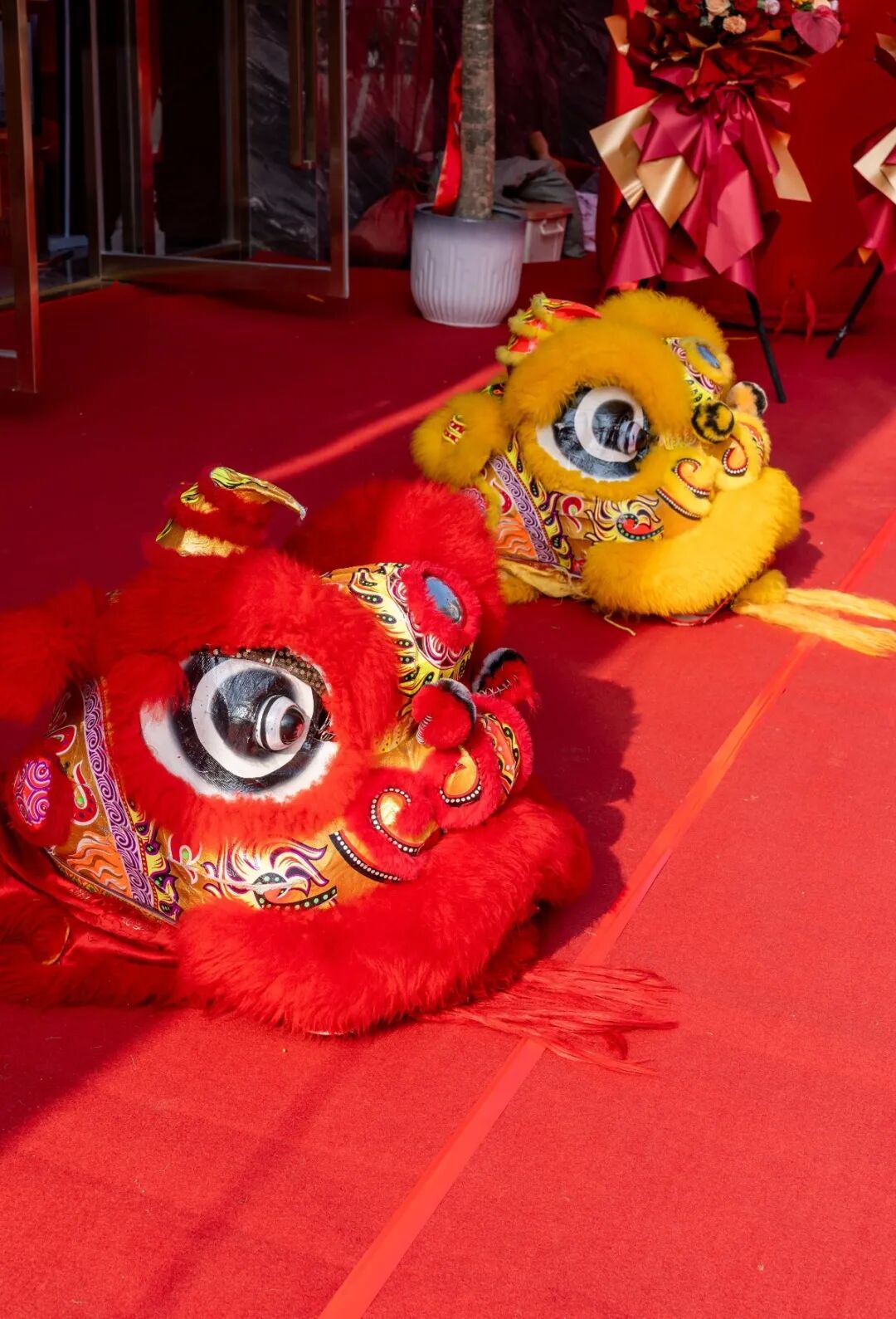 精工筑夢·摯友同行 | 強輝邢臺旗艦店煥新開業(圖3) 精工筑夢·摯友同行 | 強輝邢臺旗艦店煥新開業(圖3)